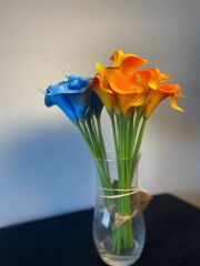 'Islak Gala Çiçeği Renkli Buket(24 adet)