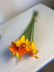 'Islak Gala Çiçeği Turuncu Buket(8 adet)