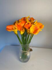 'Islak Gala Çiçeği Turuncu Buket(8 adet)