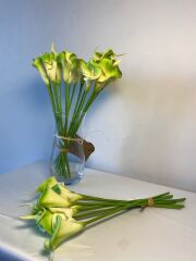 'Islak Gala Çiçeği Yeşil Buket(8 adet)