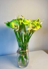 'Islak Gala Çiçeği Yeşil Buket(8 adet)