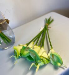 'Islak Gala Çiçeği Yeşil Buket(8 adet)