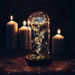 'Lüx Fanusta Sonsuzluk Gülü Beyaz ışıklı