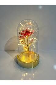 'Lüx Fanusta Sonsuzluk Gülü Kırmızı Işıklı