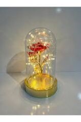 'Lüx Fanusta Sonsuzluk Gülü Kırmızı Işıklı