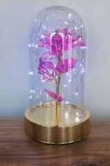 'Lüx Fanusta Sonsuzluk Gülü Pembe Işıklı