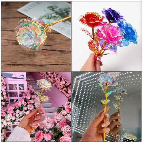 'Sonsuzluk Gülü Çok Renkli(5 adet)